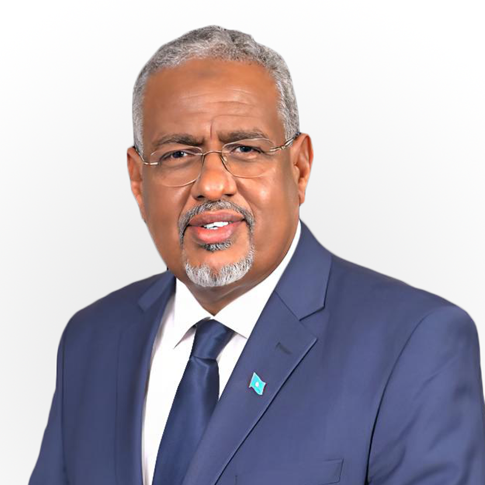 Dr. Abdinur Mohamud